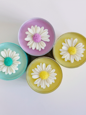 _DSC1232 FIESTA DE FLORES