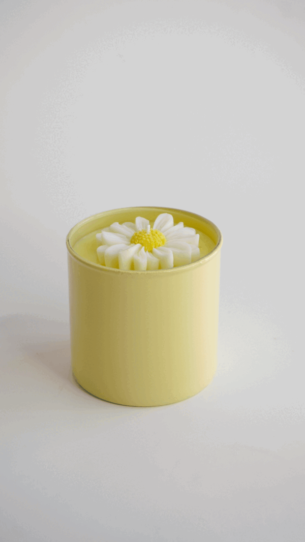 _DSC1243 FIESTA DE FLORES