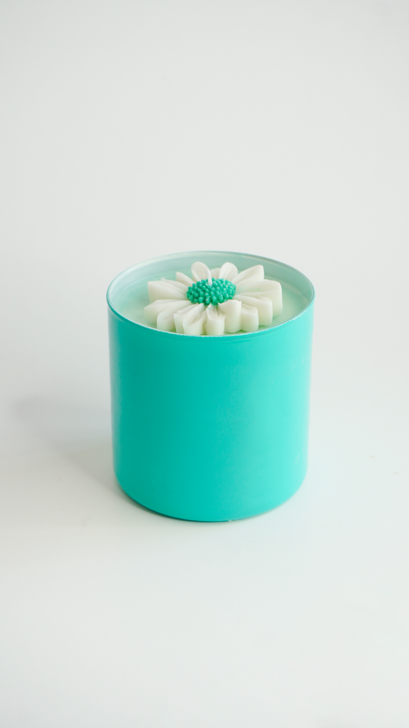 _DSC1247 FIESTA DE FLORES